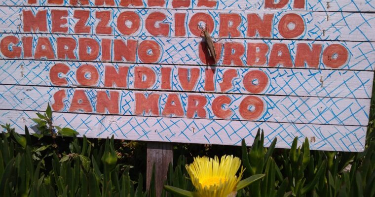 Un’esplosione di colori e profumi